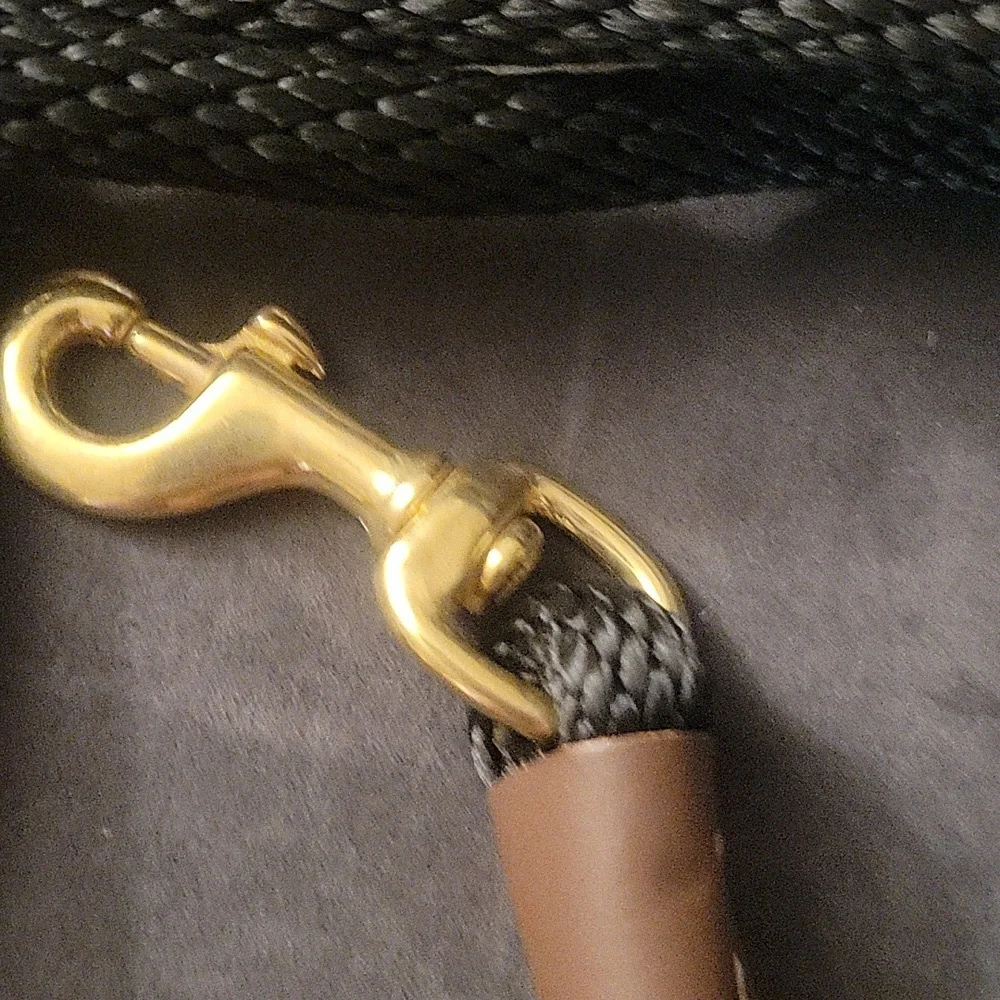 Black Dog Leash - Picture 3 of 5